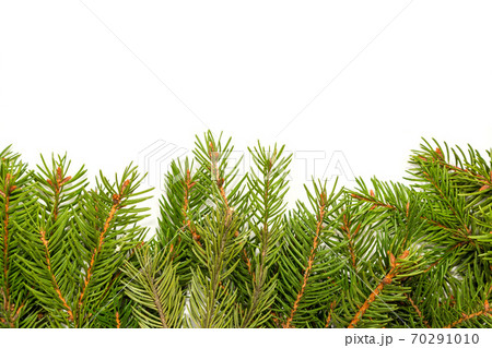 Christmas background. Eve framework 70291010