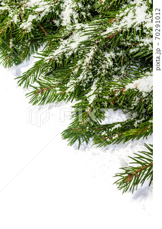 Christmas background. Eve framework 70291012