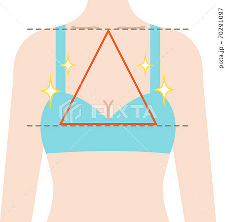 きれいなバスト 正三角形のシェイプ きれいなバスト 正三角形のシェイプ 70291097