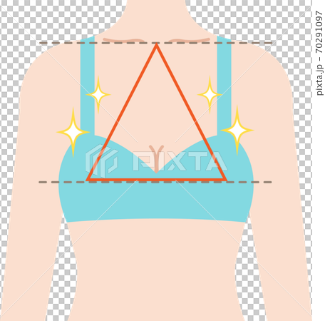 きれいなバスト 正三角形のシェイプ きれいなバスト 正三角形のシェイプ 70291097