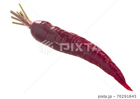 Purple Haze carrot (Daucus carota taproot) w/ tapered tip, isolated Purple Haze carrot (Daucus carota taproot) w/ tapered tip, isolated 70291645