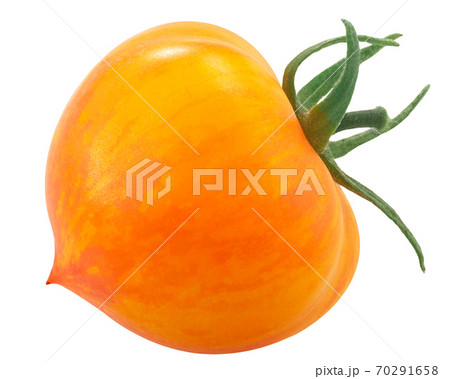 Kozula137 bicolor heirloom tomato, isolated on white Kozula137 bicolor heirloom tomato, isolated on white 70291658