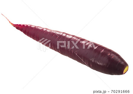 Purple Haze carrot (Daucus carota taproot) w/ tapered tip, isolated Purple Haze carrot (Daucus carota taproot) w/ tapered tip, isolated 70291666
