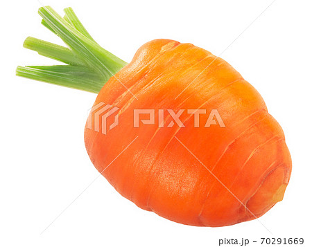 Short Rondo carrot (Daucus carota taproot) isolated Short Rondo carrot (Daucus carota taproot) isolated 70291669