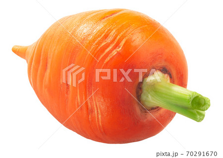 Short Rondo carrot (Daucus carota taproot)  isolated 70291670