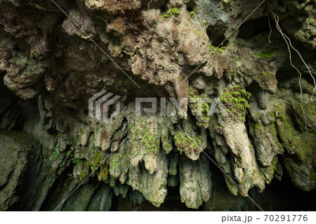 福岡県 千仏鍾乳洞 70291776