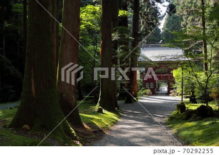 ロマンチック茨城（この苔に包まれた参道、御岩神社は古代より霊験あれたかな信仰の山と伝えられてきた。） 70292255