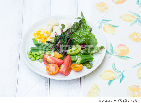 お皿に盛った色々な種類の野菜 70293738