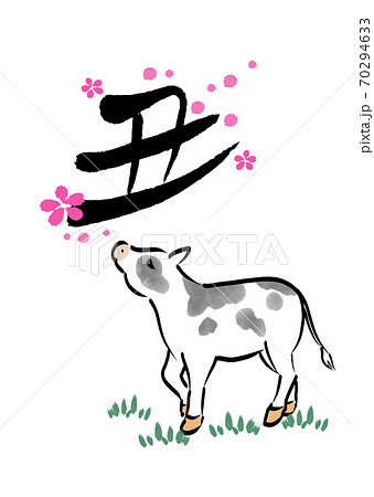 2021年　丑年の年賀状素材　筆文字　牛と丑文字　梅の花　手描き風の牛デザイン書道 70294633