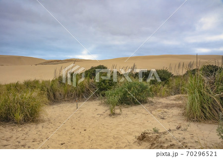 Te Paki Giant Sand Dunes in Pukenui, New Zealand Te Paki Giant Sand Dunes in Pukenui, New Zealand 70296521