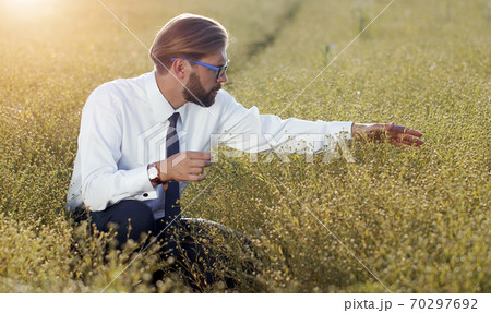 Agrarian engineer squatting ripe field Agrarian engineer squatting ripe field 70297692
