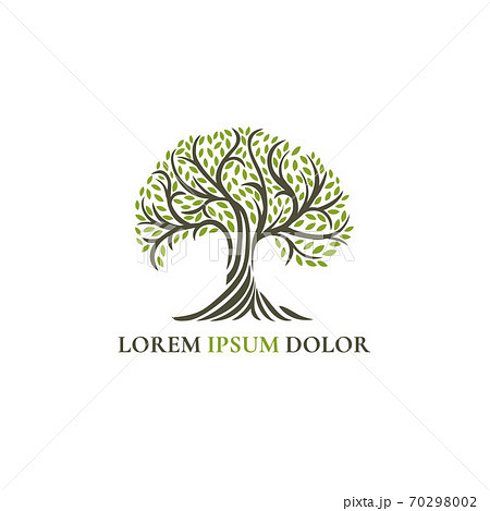 Abstract tree logo. Modern illustration.  70298002