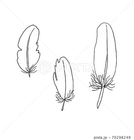 Bird feathers set outline illustration, hand drawn vector black and white isolated objects image 70298249