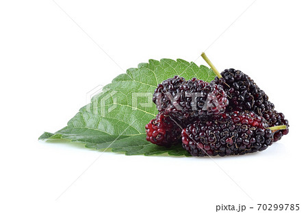 Mulberry isolated on white background 70299785