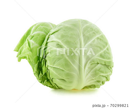 Green cabbage isolated on white background 70299821