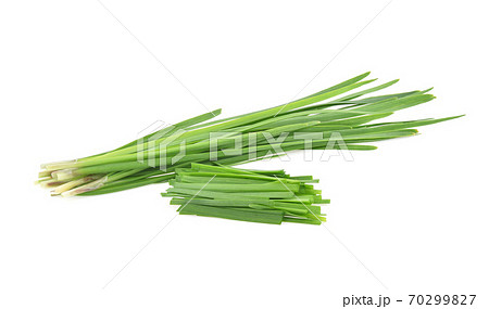 Garlic chives isolated on white background 70299827