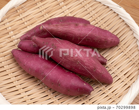 サツマイモ　鳴門金時 70299898