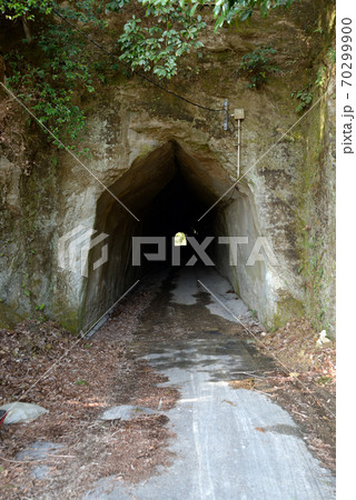 永昌寺、素掘りトンネル 70299900