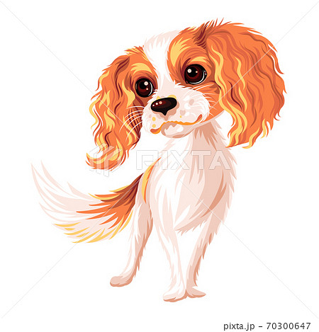 cavalier kennel