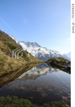 マウントクック、国立公園、アオラキ、世界遺産、セアリーターンズトラック(ニュージーランド)、3月 マウントクック、国立公園、アオラキ、世界遺産、セアリーターンズトラック(ニュージーランド)、3月 70300828
