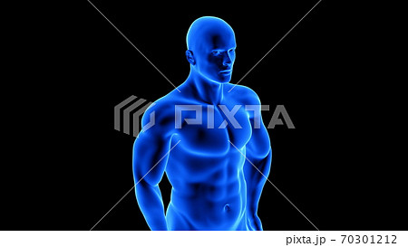 male fitness body - muscle mass building illustration on black background 70301212