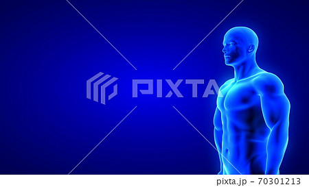 male fitness body - muscle mass building illustration on blue background 70301213