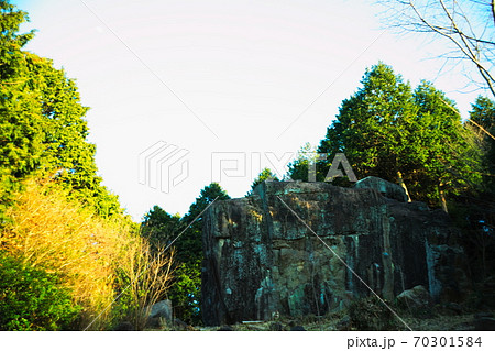 中津市（三光村）　八面山 70301584