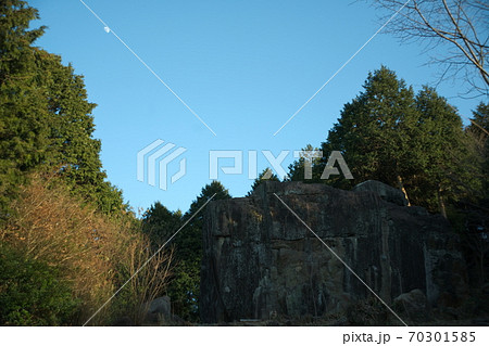 中津市（三光村）　八面山 70301585
