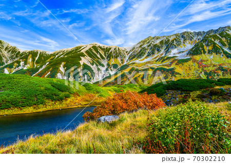 立山、みどりが池越しに見る秋景色 70302210