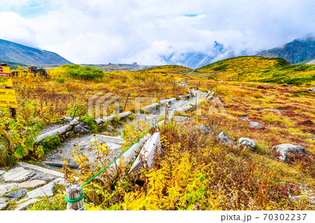 立山室堂から大谷・天狗平方面への遊歩道「チングルマロード」 70302237