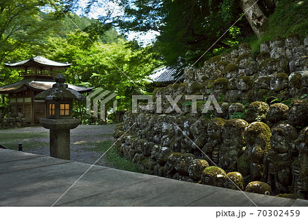 愛宕念仏寺　京都 70302459