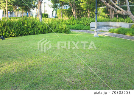 Garden and landscaping. Garden and landscaping. 70302553