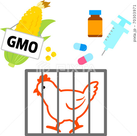 抗生物質や遺伝子組換作物を与えられる鶏のイラスト素材