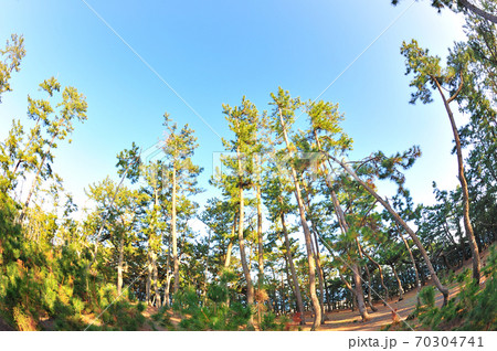 三保の松原 70304741