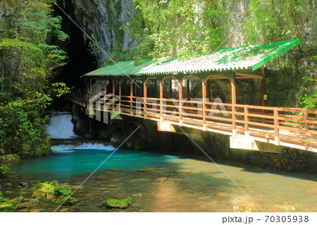 【山口県】秋芳洞入口付近 【山口県】秋芳洞入口付近 70305938