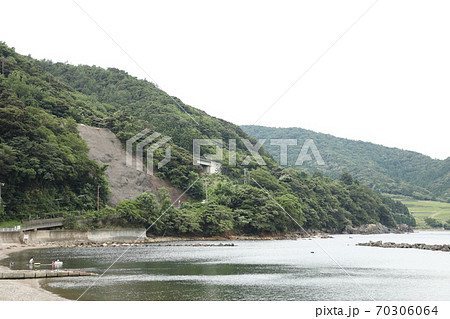 田烏 田烏 70306064