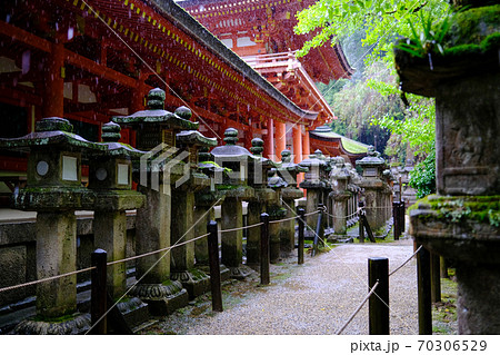雨降る春日大社の灯籠 奈良県奈良市 の写真素材