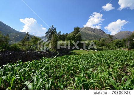 ペルー　農家 70306928