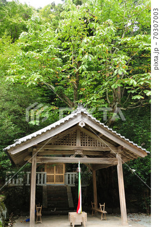 戒場神社のホウノキ 70307003