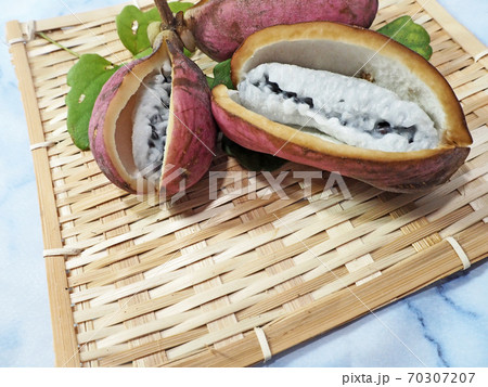 白い果肉のつる性植物楕円形のアケビの実の写真素材
