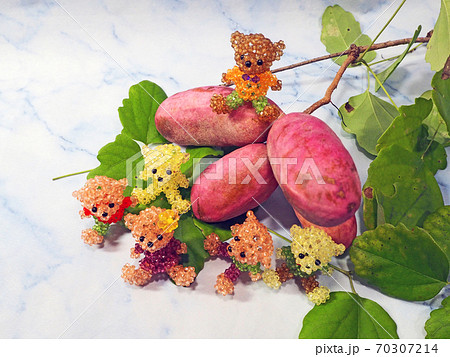 蔓性植物秋の味覚アケビとテディベア人形 70307214