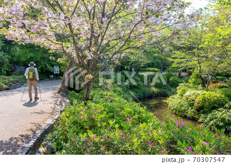 打吹公園　新緑トレッキング 70307547