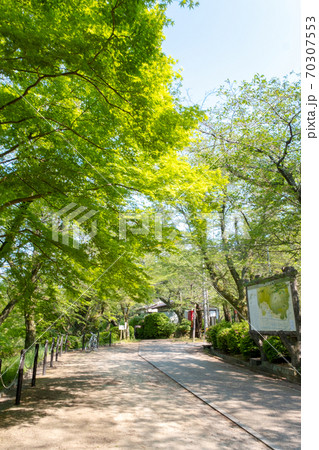 打吹公園　新緑トレッキング 70307553