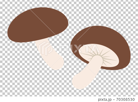 Shiitake mushroom 70308530