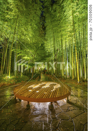 修善寺温泉　竹林の小径　ライトアップ 70309006