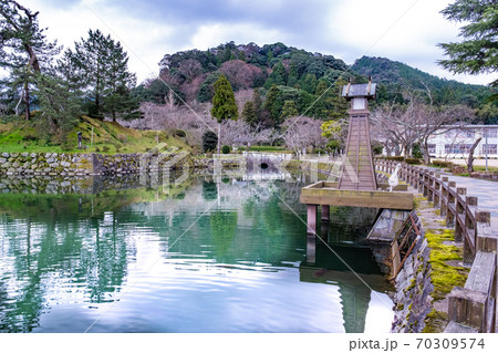 冬の鹿野城跡公園の写真素材