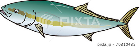 ブリ ブリ 70310435