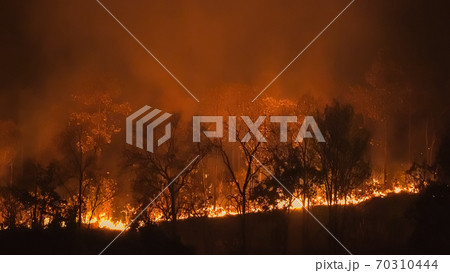 forest fire disaster is burning caused by humans 70310444