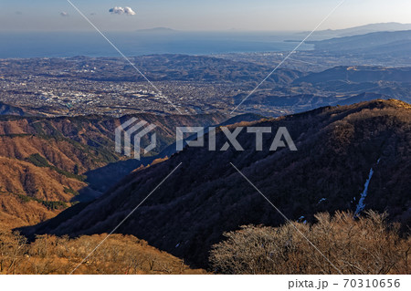 丹沢 塔ノ岳から大倉尾根と秦野 小田原市街と伊豆大島の眺めの写真素材
