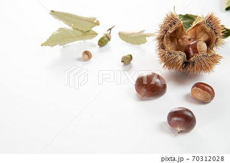 Autumn composition of chestnut, pine corn and leaves. High angle view. Autumn composition of chestnut, pine corn and leaves. High angle view. 70312028